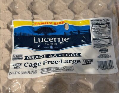 Grade Aa Cage Free Large Eggs