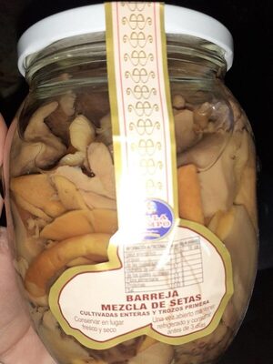 SETAS VARIADAS VILLACAMPO T-580GR.